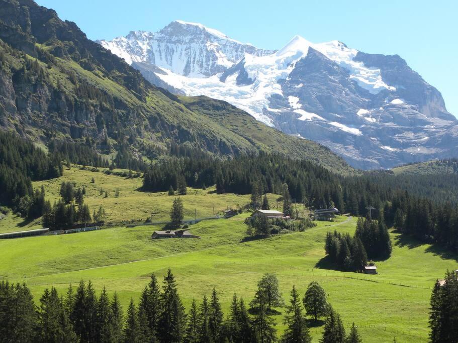 Apartment With Great View At Residence Brunner Wengen Eksteriør bilde