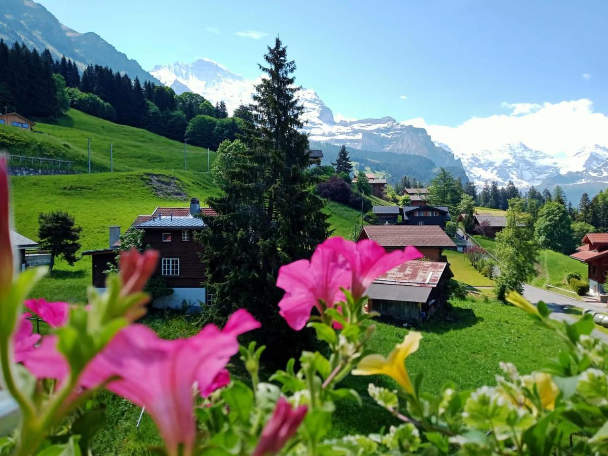 Apartment With Great View At Residence Brunner Wengen Eksteriør bilde