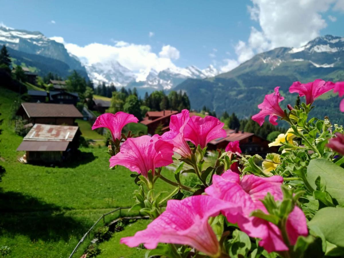 Apartment With Great View At Residence Brunner Wengen Eksteriør bilde